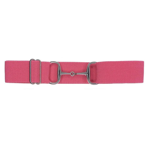 Equestrian bit belt